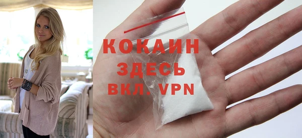 индика Мегион