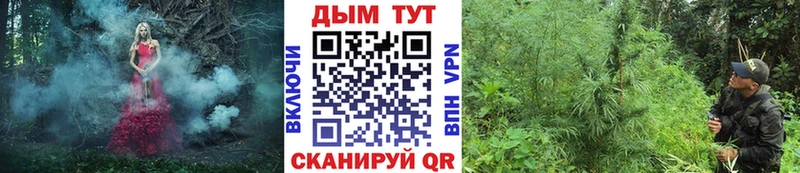МАРИХУАНА план  Купить  Староминская 